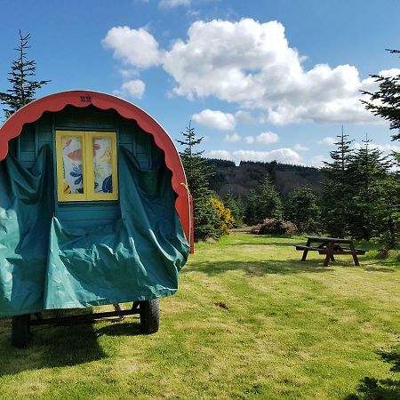 Clissmann Horse Caravans Glamping Rathdrum Bagian luar foto