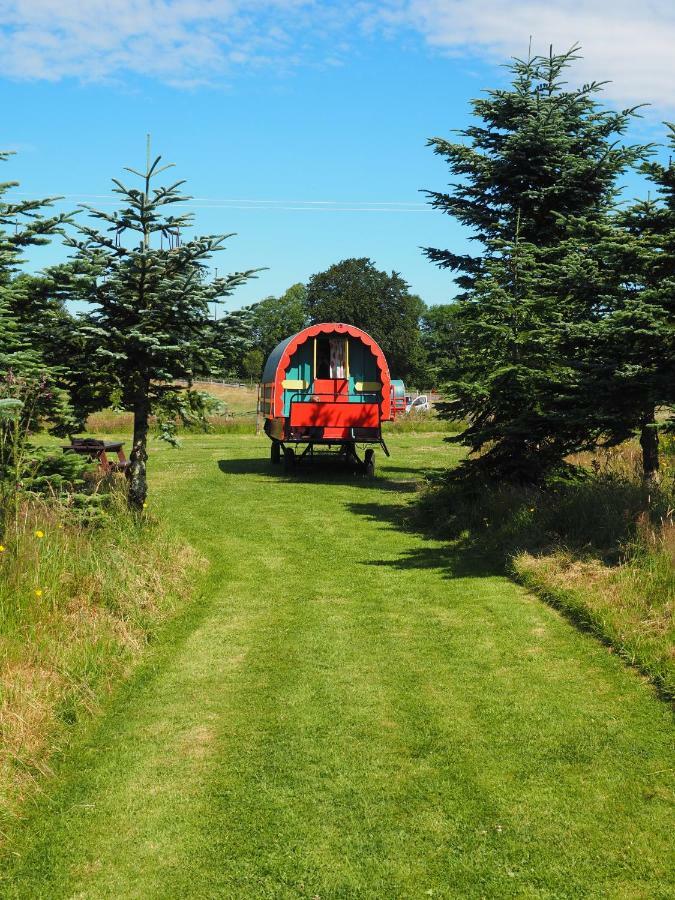 Clissmann Horse Caravans Glamping Rathdrum Bagian luar foto