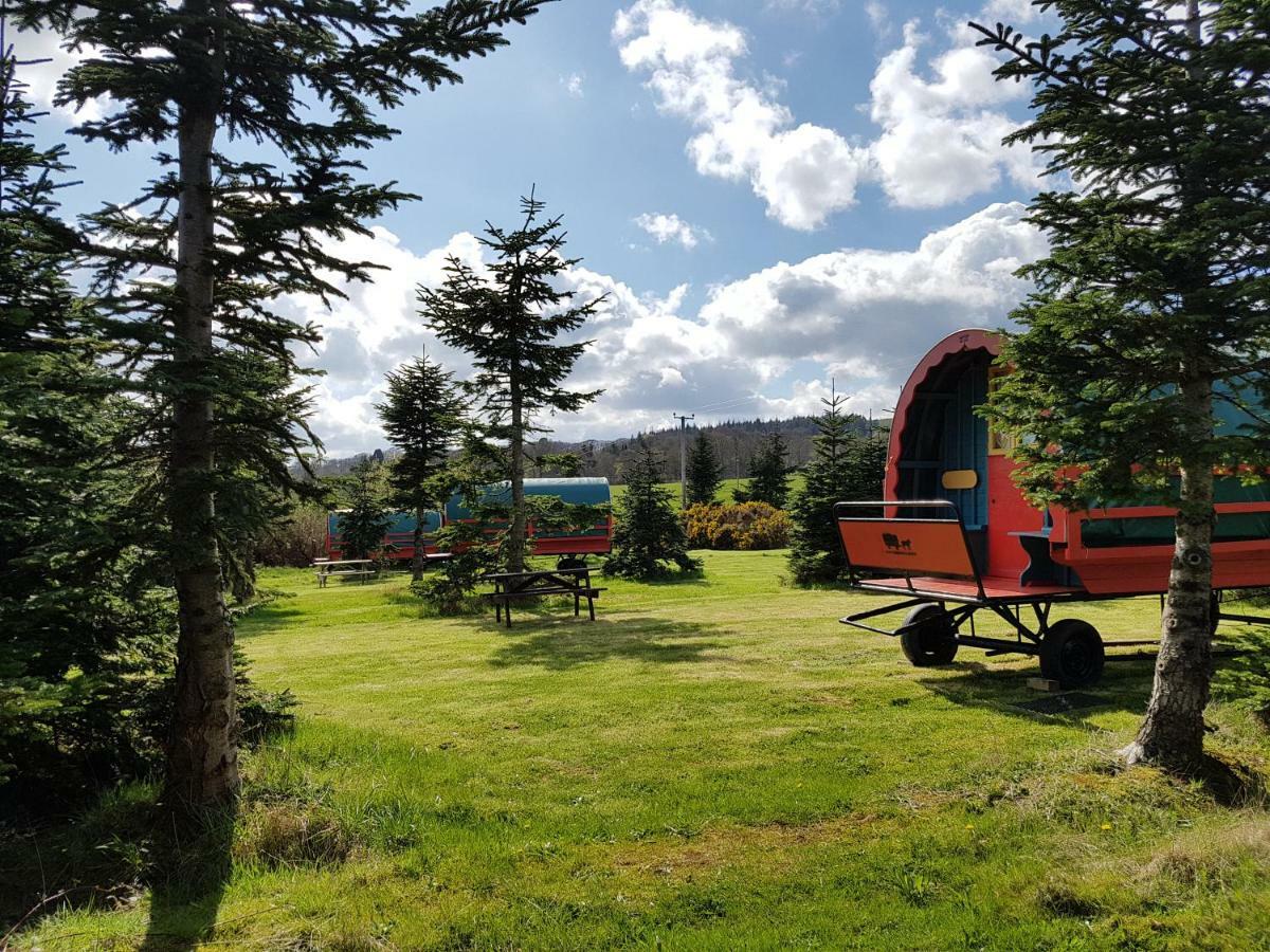 Clissmann Horse Caravans Glamping Rathdrum Bagian luar foto