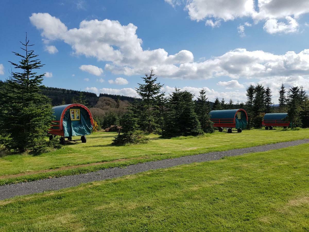 Clissmann Horse Caravans Glamping Rathdrum Bagian luar foto