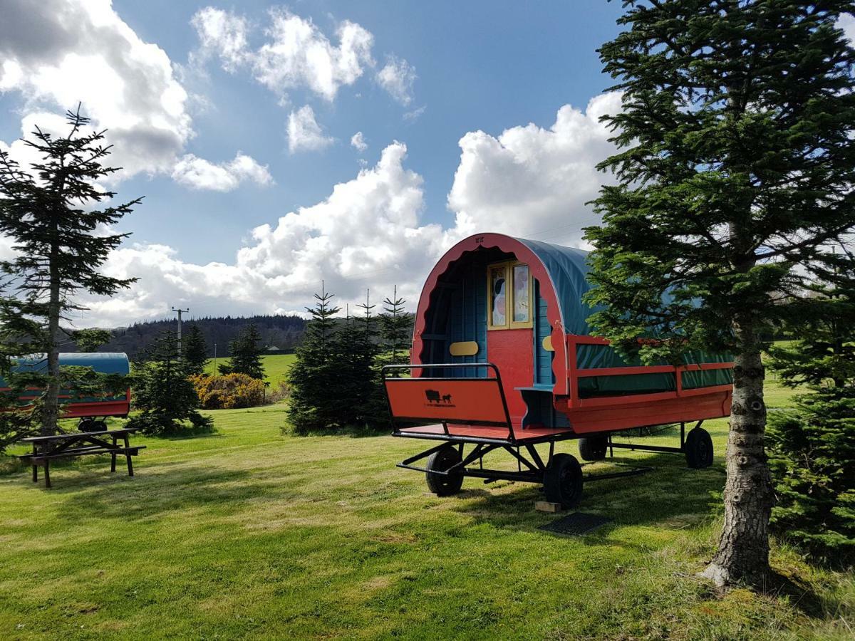 Clissmann Horse Caravans Glamping Rathdrum Bagian luar foto