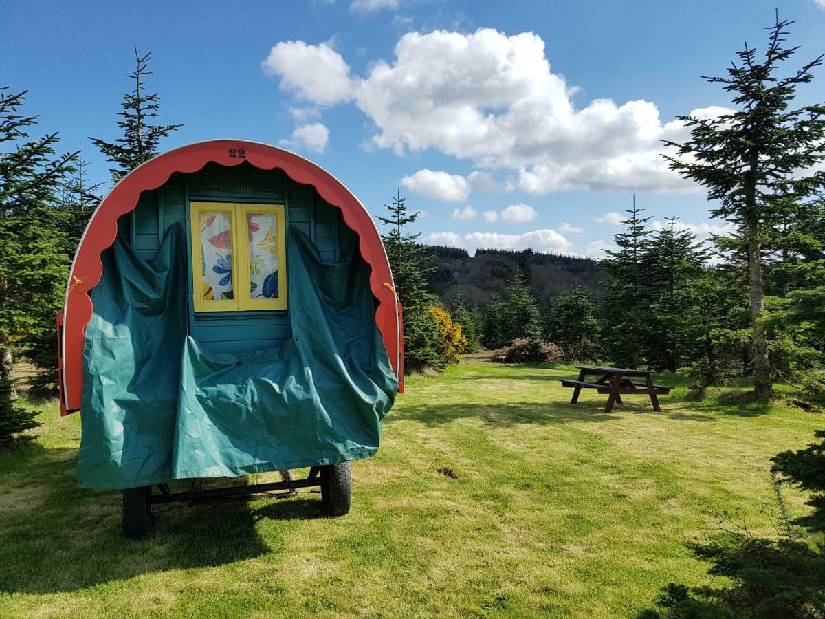 Clissmann Horse Caravans Glamping Rathdrum Bagian luar foto
