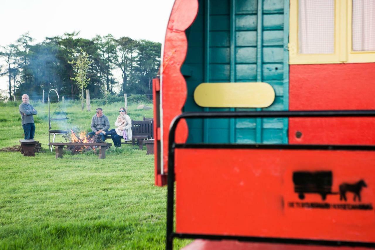 Clissmann Horse Caravans Glamping Rathdrum Bagian luar foto