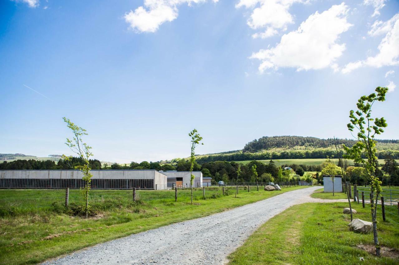 Clissmann Horse Caravans Glamping Rathdrum Bagian luar foto